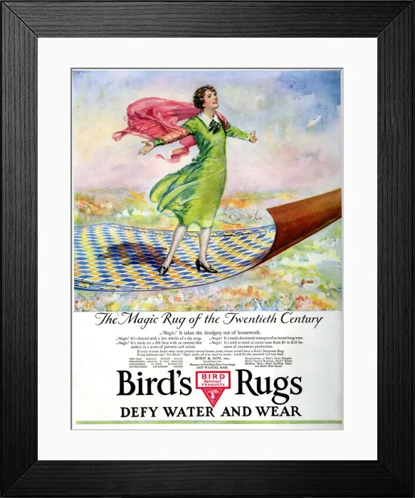 Framed Print : Advertisement, Birds Rugs Advertisement, Birds Rugs Framed Print : Advertisement, Birds Rugs Advertisement, Birds Rugs