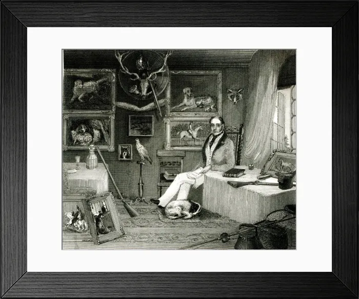 Framed Print : The Sportsmans Study The Sportsmans Study Framed Print : The Sportsmans Study The Sportsmans Study