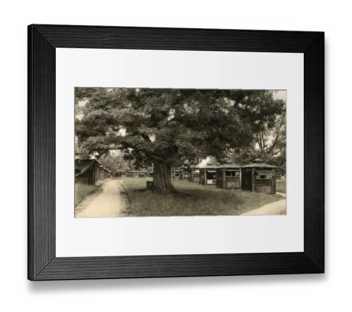 Framed Print : Papworth Colony - Open Air Chalets Framed Print : Papworth Colony - Open Air Chalets