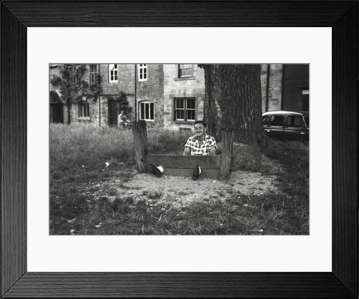 Framed Print : Young man fools about in The Stocks Framed Print : Young man fools about in The Stocks