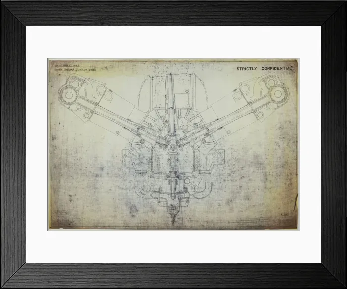 Framed Print : D Napier and Son - Sealion Framed Print : D Napier and Son - Sealion