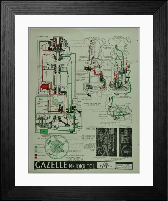 Framed Print : D Napier and Son - Gazelle Framed Print : D Napier and Son - Gazelle