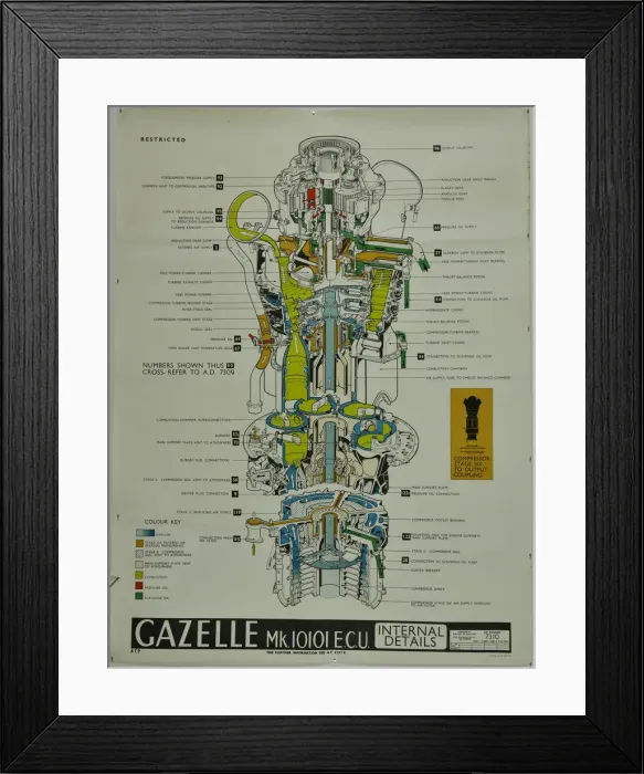 Framed Print : D Napier and Son - Gazelle Framed Print : D Napier and Son - Gazelle