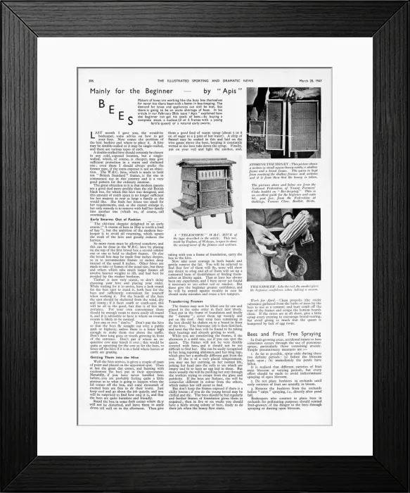 Framed Print : Bees, mainly for the beginner, 1941 Framed Print : Bees, mainly for the beginner, 1941