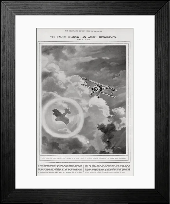 Framed Print : The haloed shadow: an aerial phenomenon Framed Print : The haloed shadow: an aerial phenomenon