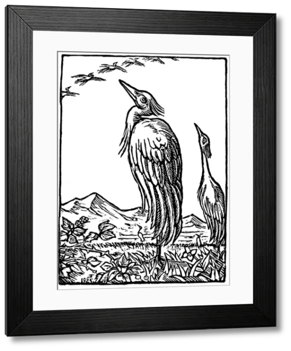 Framed Print : Feyeraband (1889-1945) Framed Print : Feyeraband (1889-1945)