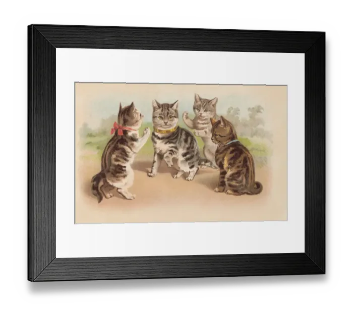 Framed Print : Happy cats Framed Print : Happy cats