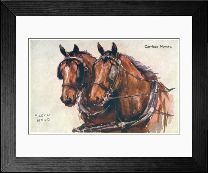 Framed Print : Carriage horses Framed Print : Carriage horses
