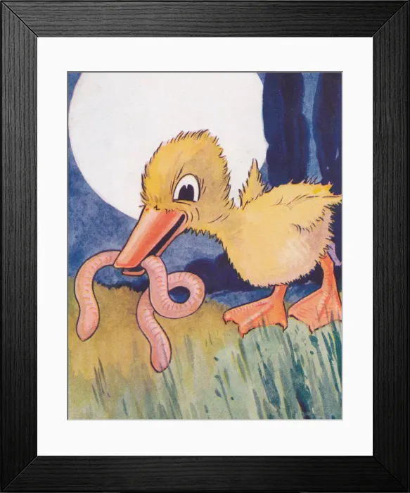 Framed Print : The early bird Framed Print : The early bird