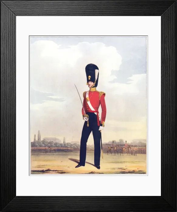 Framed Print : Military. Officer of the 87th (or royal Irish) Framed Print : Military. Officer of the 87th (or royal Irish)