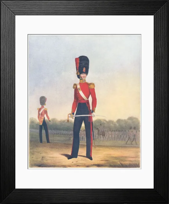 Framed Print : Military. Officer of the Coldstream Guards (winter dress) Framed Print : Military. Officer of the Coldstream Guards (winter dress)