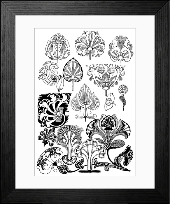 Framed Print : Honeysuckle Framed Print : Honeysuckle