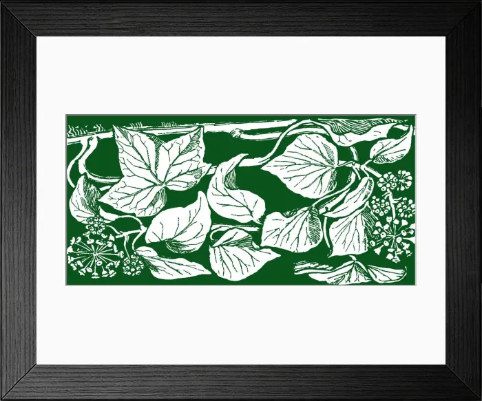 Framed Print : Ivy. Studies in plant form with suggestions for their application to design Framed Print : Ivy. Studies in plant form with suggestions for their application to design