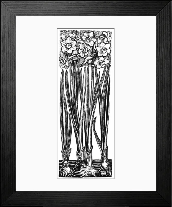 Framed Print : Jonquil. Studies in plant form with suggestions for their application to design Framed Print : Jonquil. Studies in plant form with suggestions for their application to design