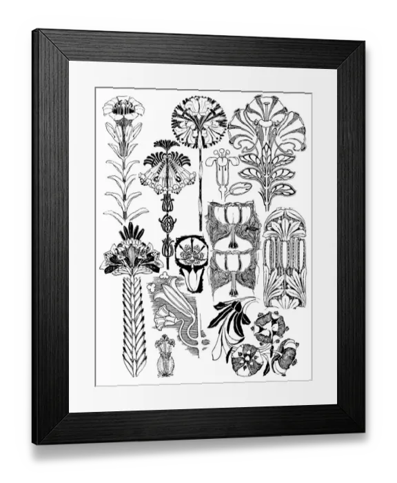 Framed Print : Lilies. Studies in plant form with suggestions for their application to design Framed Print : Lilies. Studies in plant form with suggestions for their application to design