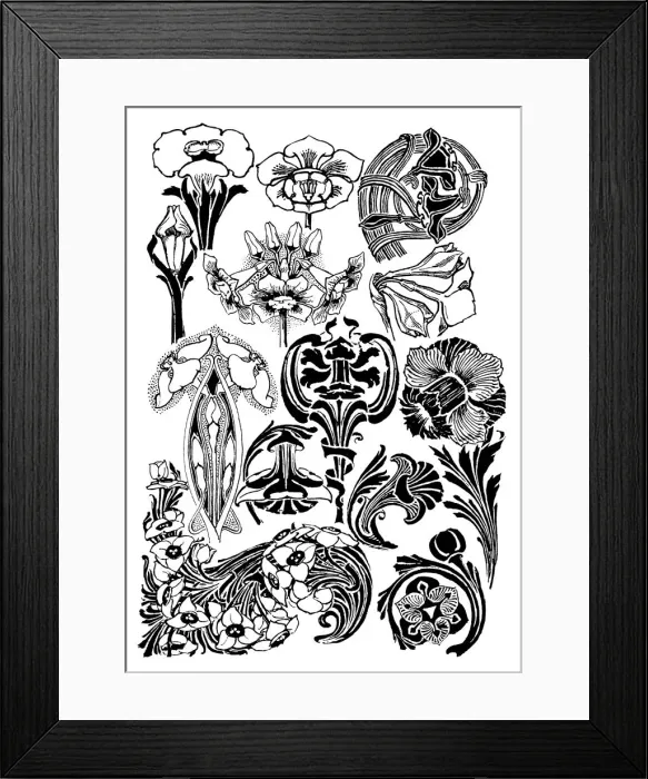 Framed Print : Narcissi. Studies in plant form with suggestions for their application to design Framed Print : Narcissi. Studies in plant form with suggestions for their application to design