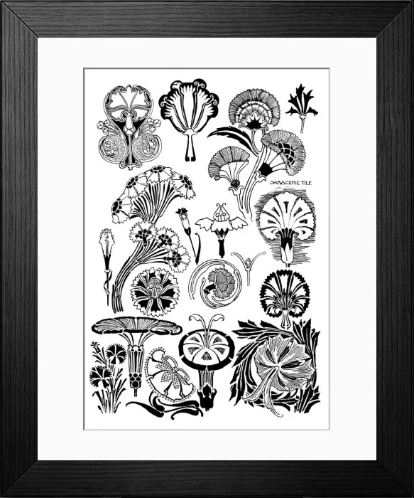 Framed Print : Pinks. Studies in plant form with suggestions for their application to design Framed Print : Pinks. Studies in plant form with suggestions for their application to design