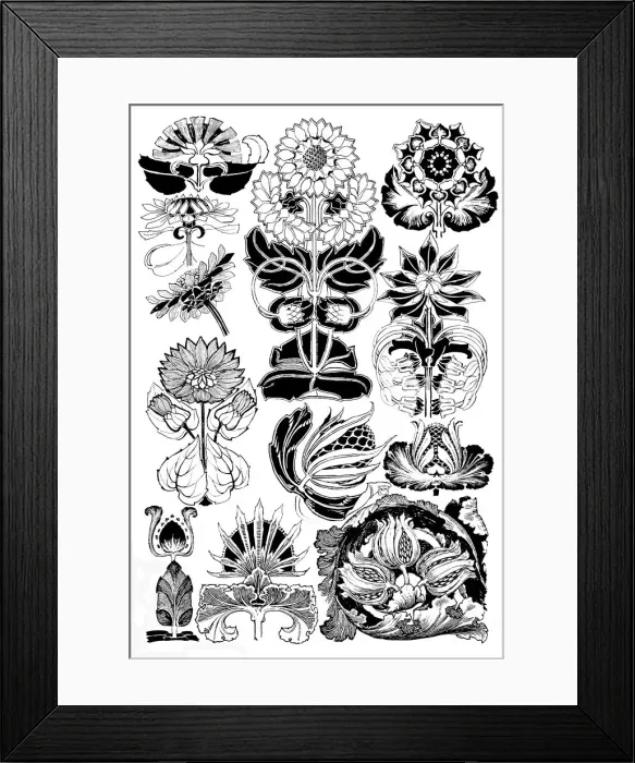 Framed Print : Sunflower, Teasel Framed Print : Sunflower, Teasel