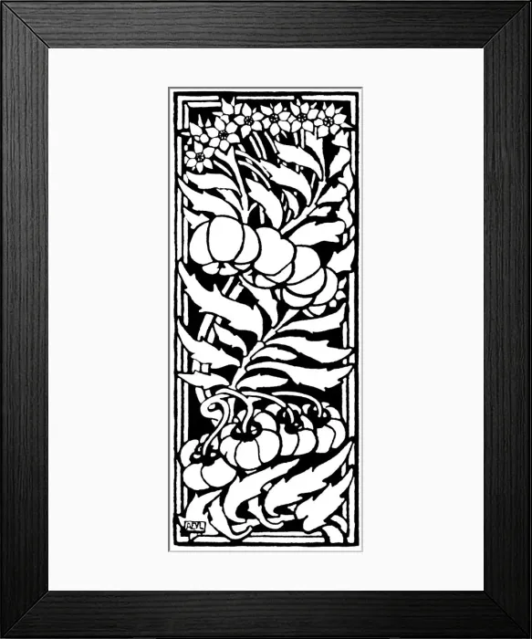 Framed Print : Tomato. Studies in plant form with suggestions for their application to design Framed Print : Tomato. Studies in plant form with suggestions for their application to design