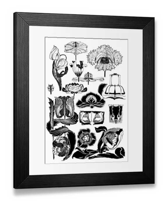Framed Print : Tulips. Studies in plant form with suggestions for their application to design Framed Print : Tulips. Studies in plant form with suggestions for their application to design