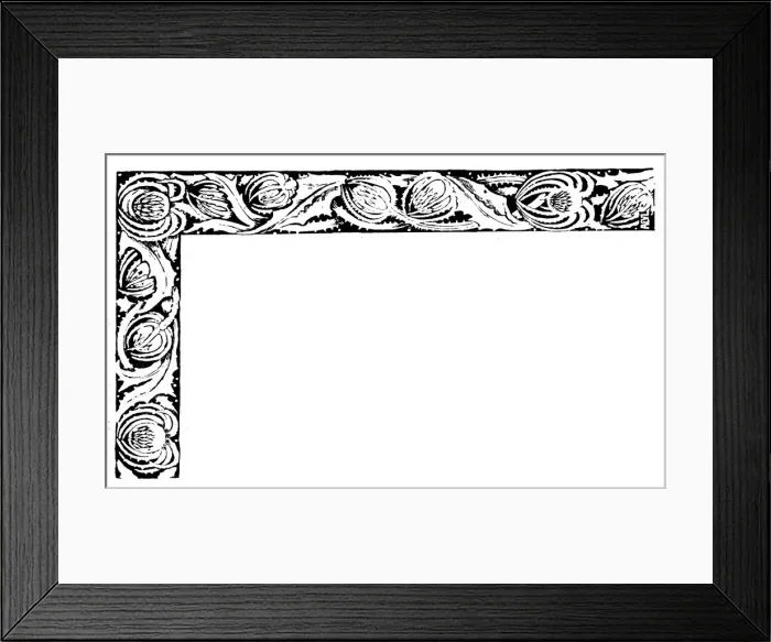 Framed Print : Border. Studies in plant form with suggestions for their application to design Framed Print : Border. Studies in plant form with suggestions for their application to design