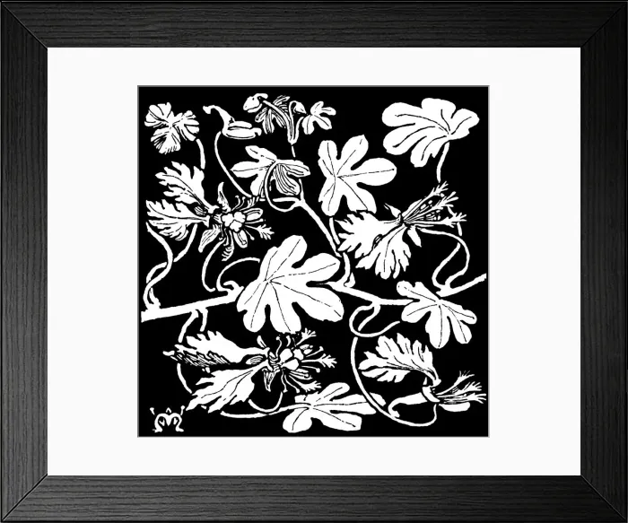 Framed Print : Canary Creeper Framed Print : Canary Creeper