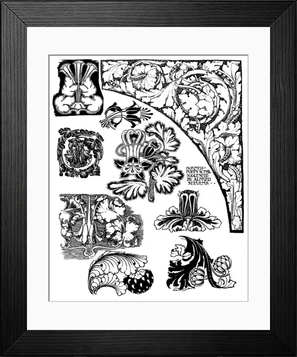 Framed Print : Columbine, etc Framed Print : Columbine, etc
