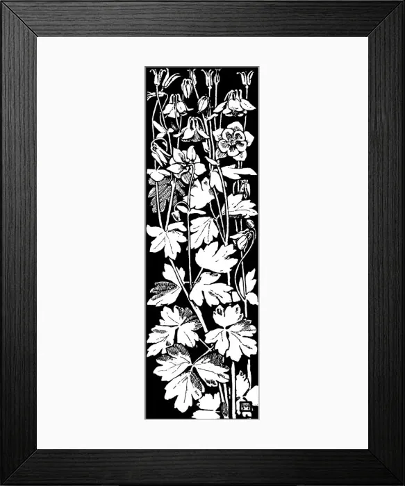 Framed Print : Columbine, etc Framed Print : Columbine, etc