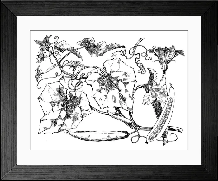 Framed Print : Cucumber. Studies in plant form with suggestions for their application to design Framed Print : Cucumber. Studies in plant form with suggestions for their application to design