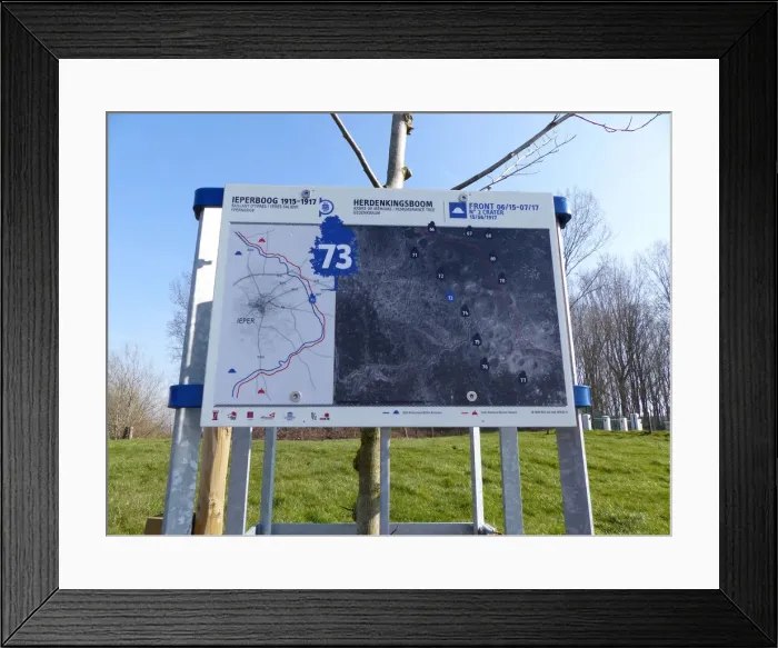 Framed Print : Remembrance Tree No. 73, Ypres Entry Route East Framed Print : Remembrance Tree No. 73, Ypres Entry Route East