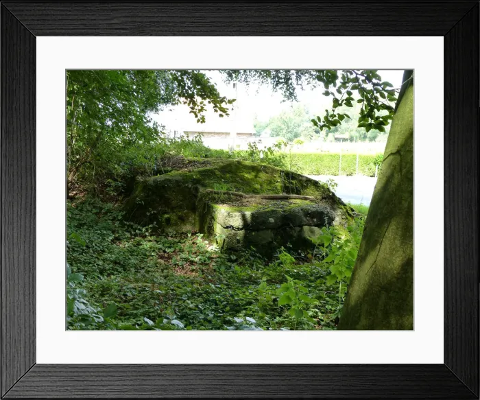 Framed Print : Bunker, Shrewsbury Forest, Ypres area Framed Print : Bunker, Shrewsbury Forest, Ypres area