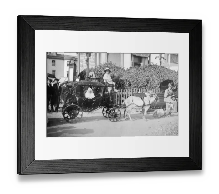 Framed Print : Spectacular Goat-Powered Childrens Coach Framed Print : Spectacular Goat-Powered Childrens Coach