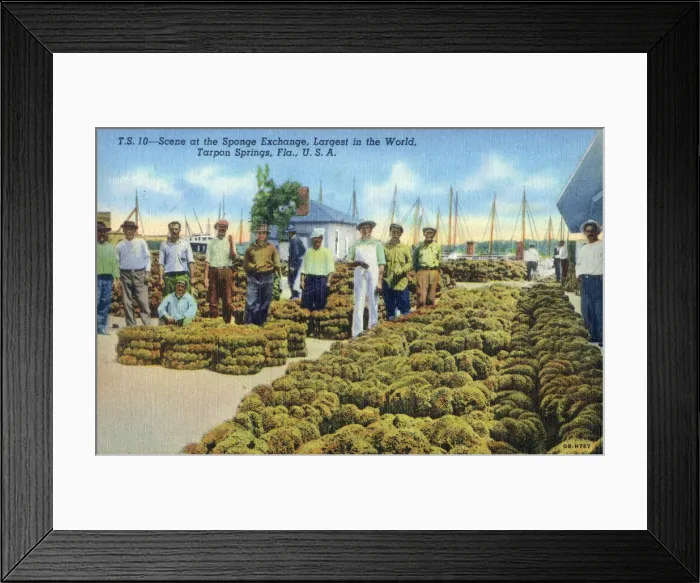 Framed Print : The Sponge Exchange at Tarpon Springs, Florida, USA Framed Print : The Sponge Exchange at Tarpon Springs, Florida, USA