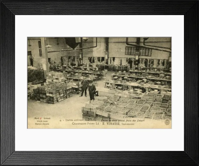 Framed Print : France - Trade - Dates from the desert oasis