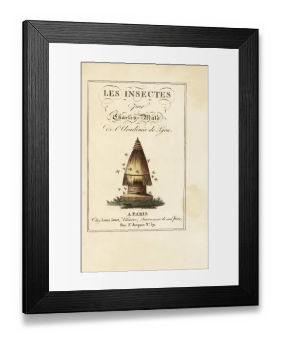Framed Print : Calligraphic title and vignette of beehive with bees Framed Print : Calligraphic title and vignette of beehive with bees