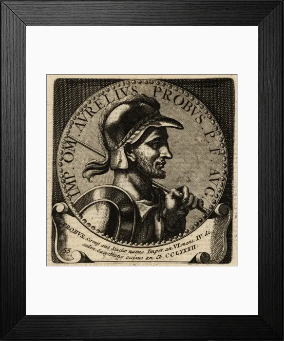 Framed Print : Portrait of Roman Emperor Probus Framed Print : Portrait of Roman Emperor Probus