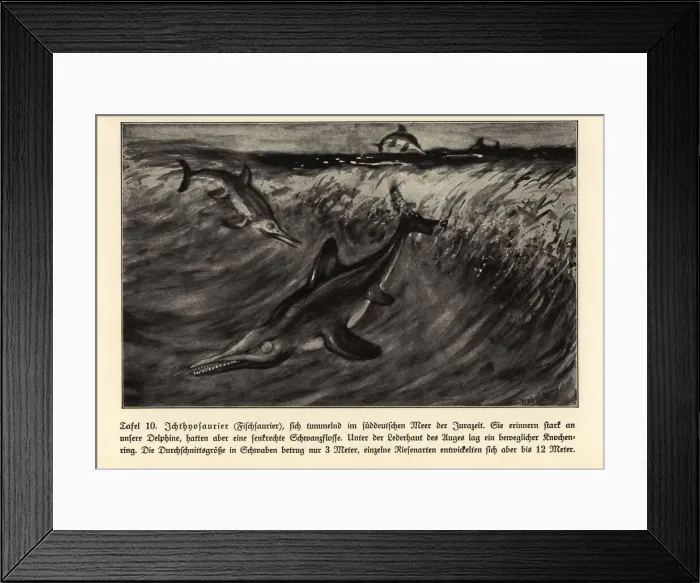 Framed Print : Reproduction of extinct Ichthyosaurs, Jurassic era Framed Print : Reproduction of extinct Ichthyosaurs, Jurassic era