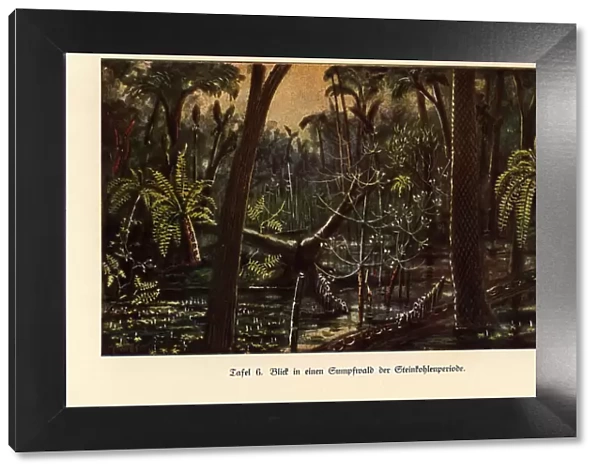 Reconstruction of a swamp forest in the Carboniferous era