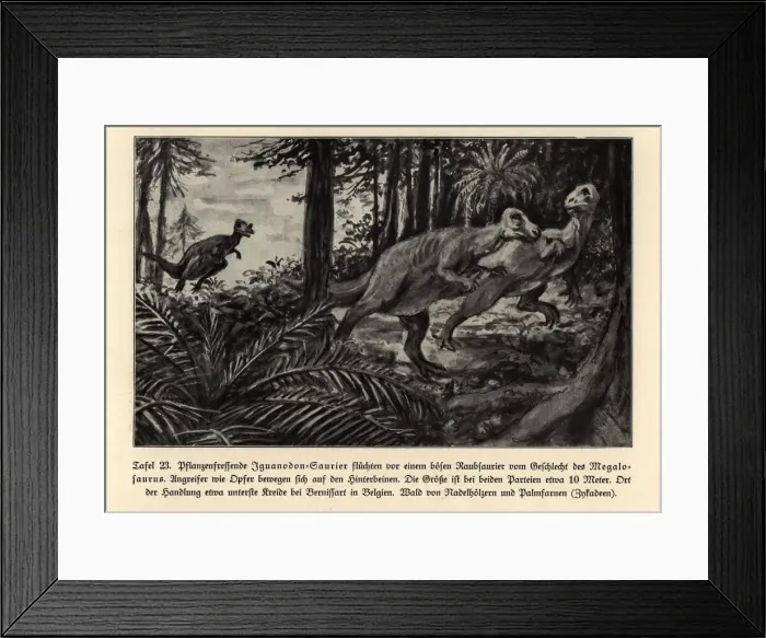 Framed Print : Extinct Iguanodons fleeing a predatory Megalosaurus