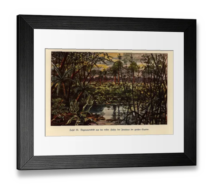 Framed Print : Vegetation from the first half of the Mesozoic era Framed Print : Vegetation from the first half of the Mesozoic era