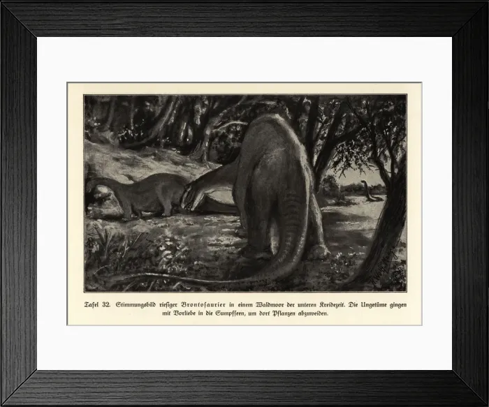 Framed Print : Reconstruction of giant Brontosaurs grazing Framed Print : Reconstruction of giant Brontosaurs grazing