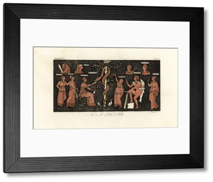 Framed Print : Heracles on his 11th labor Framed Print : Heracles on his 11th labor