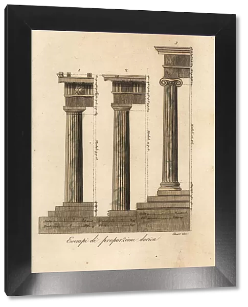 Examples of the proportions of Doric columns, Greek