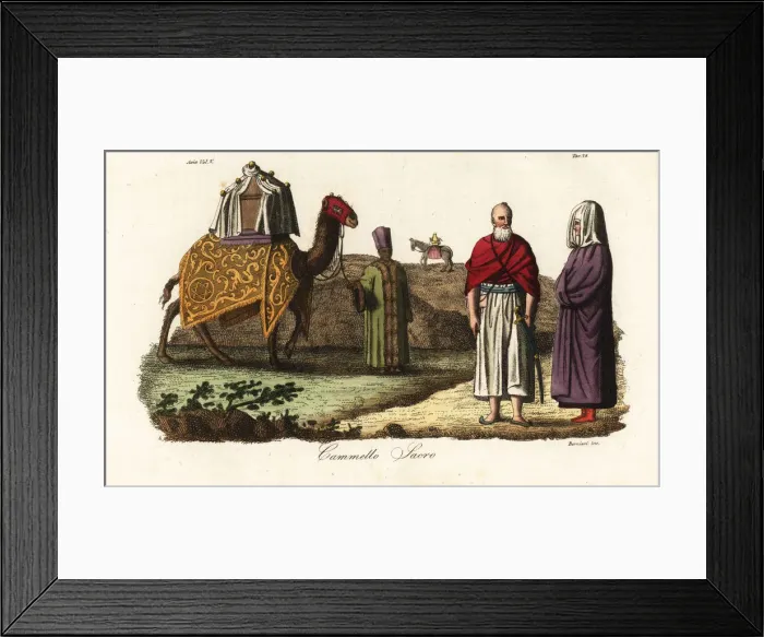 Framed Print : Sacred camel decked out for the pilgrimage to Mecca Framed Print : Sacred camel decked out for the pilgrimage to Mecca
