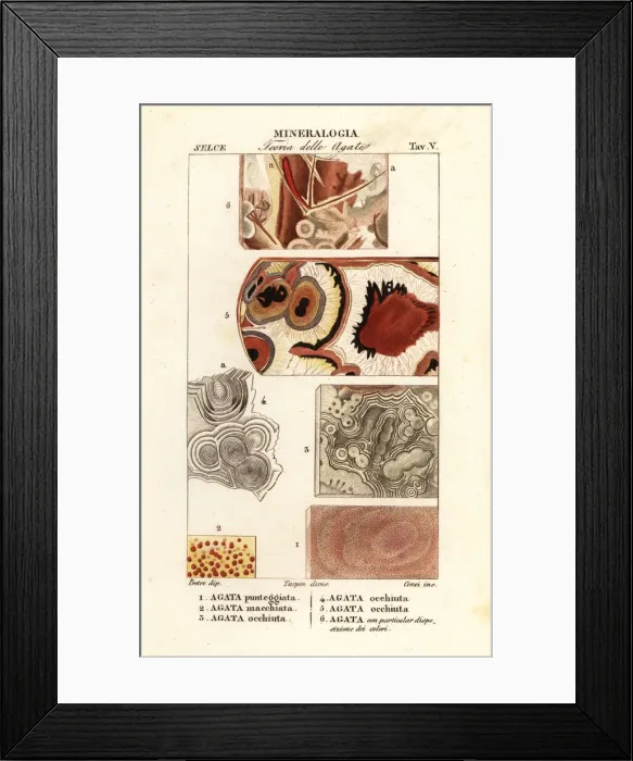Framed Print : Dotted agate, spotted agate, eyed agate, etc Framed Print : Dotted agate, spotted agate, eyed agate, etc