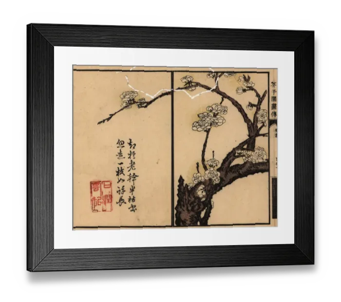 Framed Print : Branch of white plum blossom with calligraphy and seal Framed Print : Branch of white plum blossom with calligraphy and seal