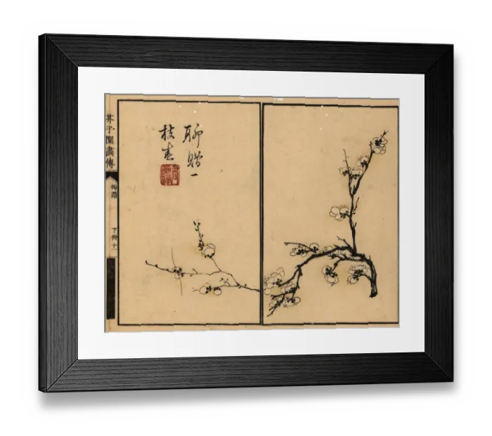 Framed Print : Branch of white plum blossom with calligraphy and seal Framed Print : Branch of white plum blossom with calligraphy and seal