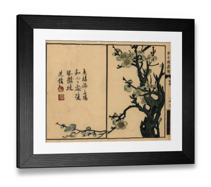 Framed Print : Branch of white plum blossom with calligraphy and seal Framed Print : Branch of white plum blossom with calligraphy and seal