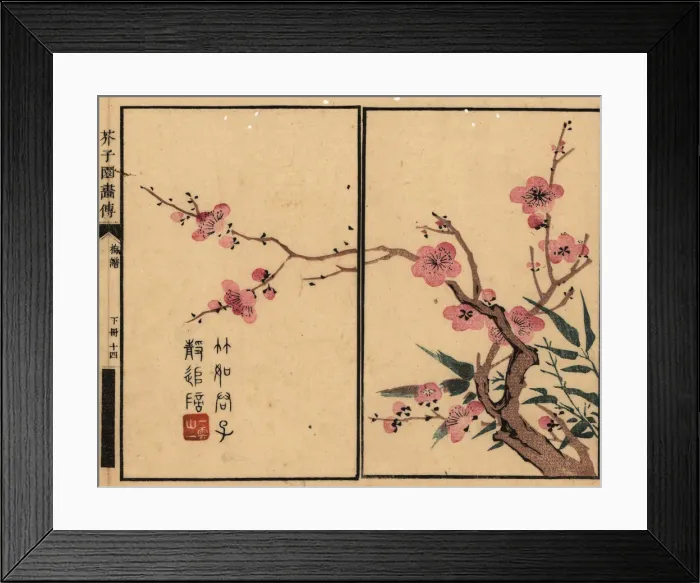 Framed Print : Branch of pink plum blossom with calligraphy and seal Framed Print : Branch of pink plum blossom with calligraphy and seal