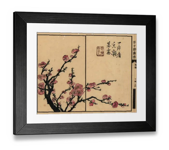 Framed Print : Branch of pink plum blossom with calligraphy and seal Framed Print : Branch of pink plum blossom with calligraphy and seal
